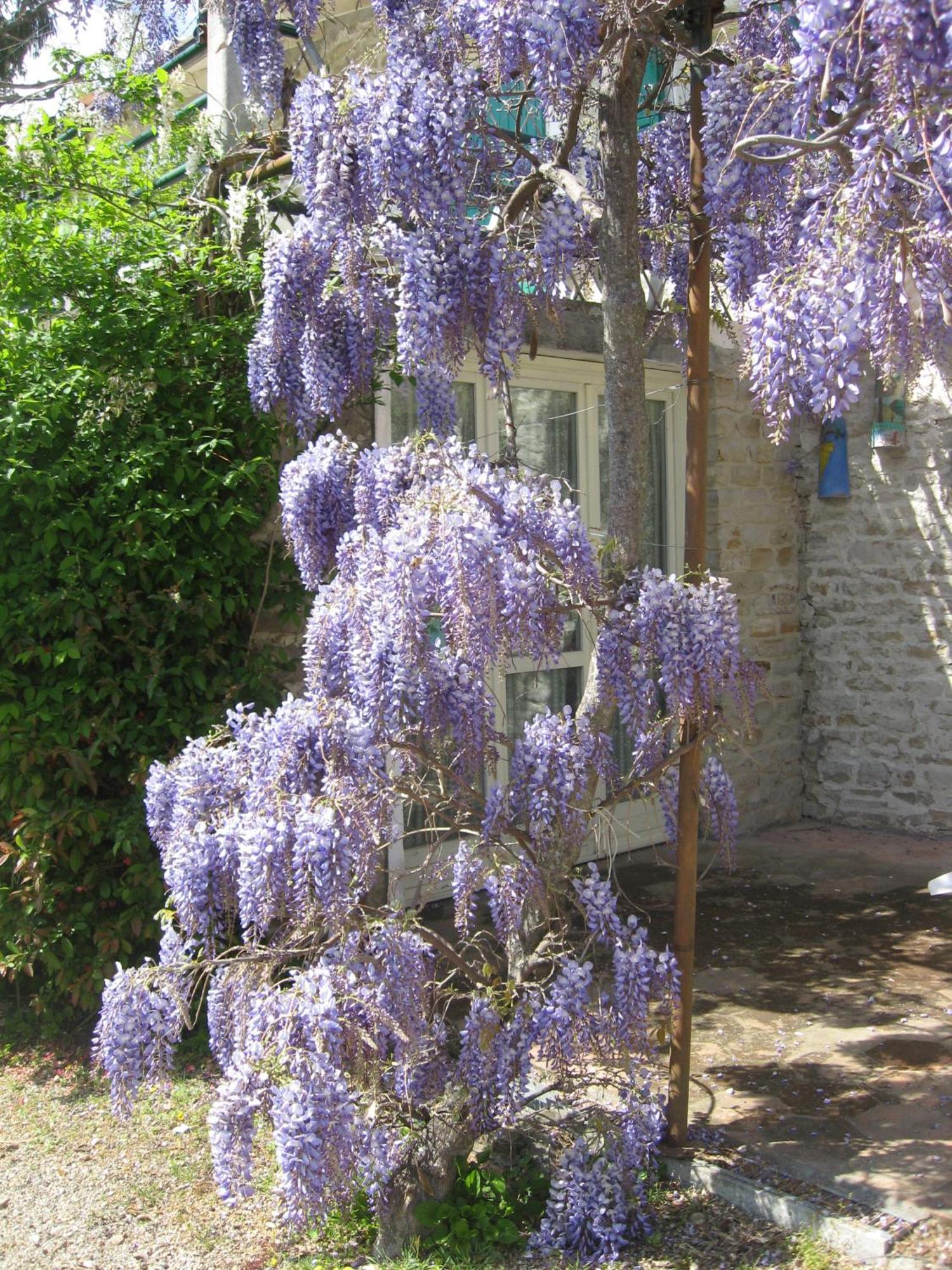 Agriturismo Cascina Serra Cossano Belbo Εξωτερικό φωτογραφία