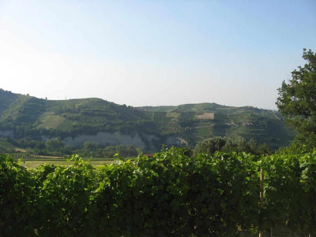 Agriturismo Cascina Serra Cossano Belbo Δωμάτιο φωτογραφία