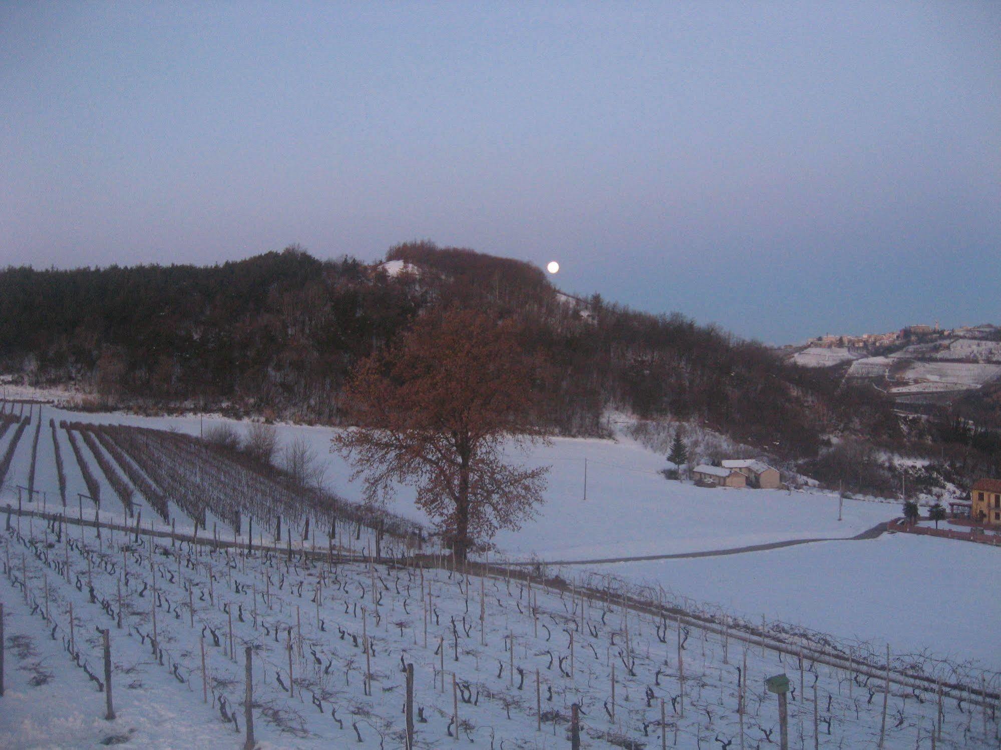 Agriturismo Cascina Serra Cossano Belbo Εξωτερικό φωτογραφία