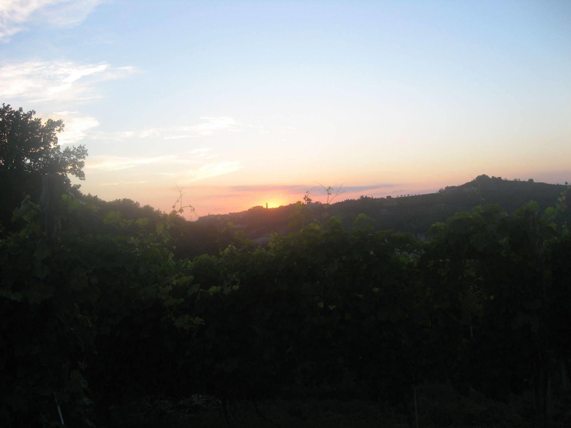 Agriturismo Cascina Serra Cossano Belbo Εξωτερικό φωτογραφία