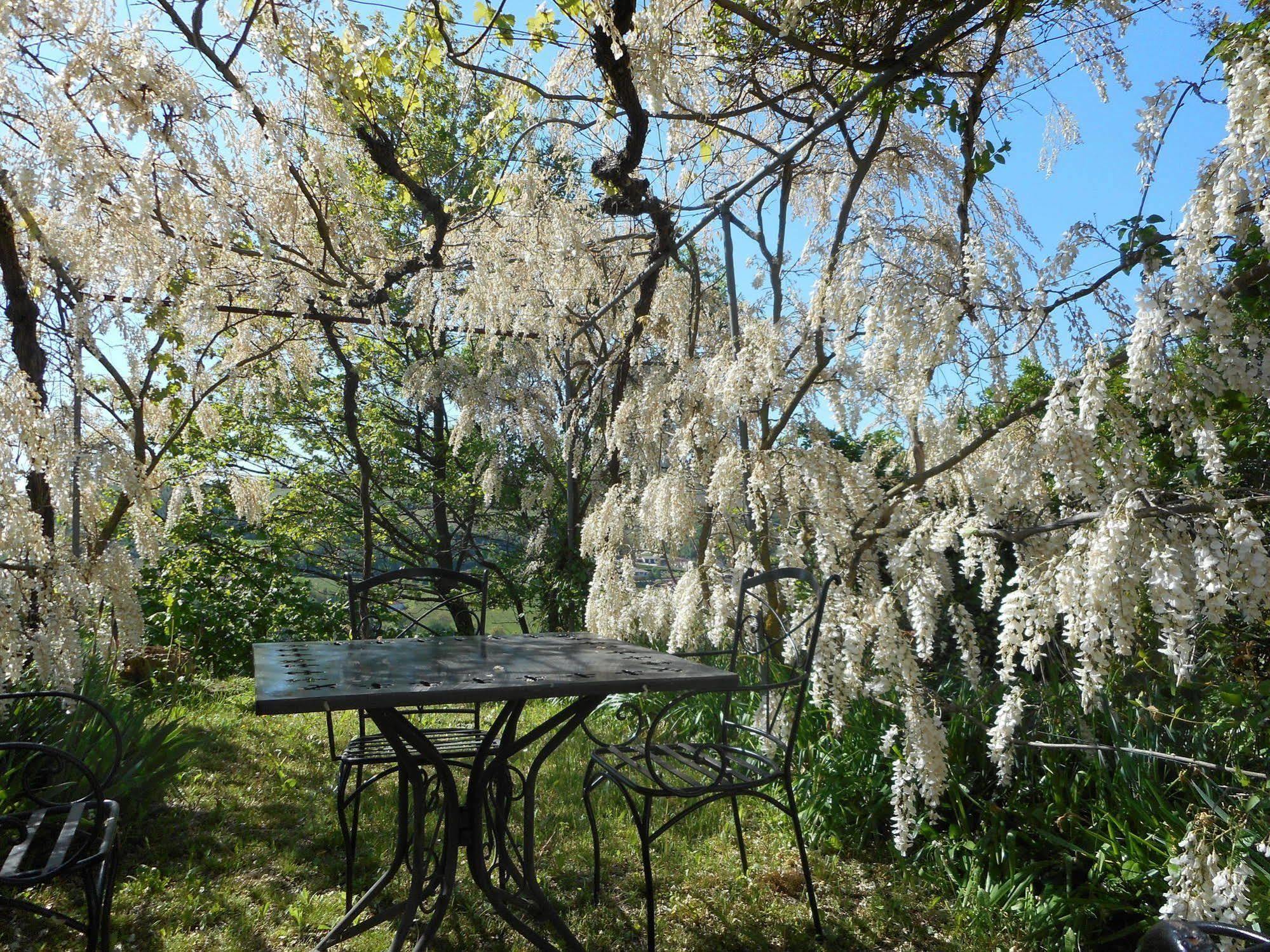 Agriturismo Cascina Serra Cossano Belbo Εξωτερικό φωτογραφία